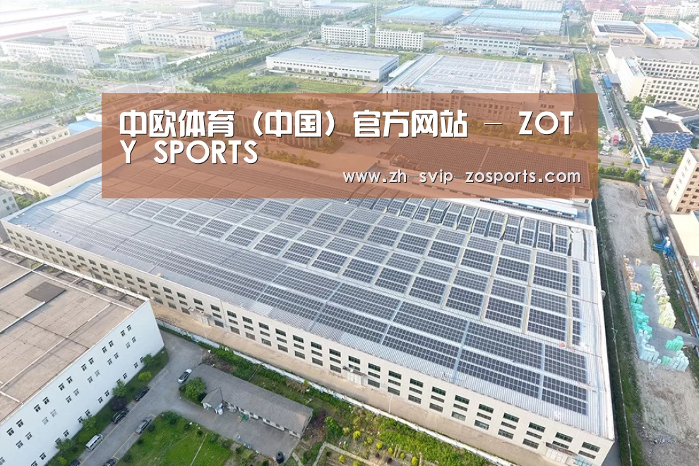 案例展示二