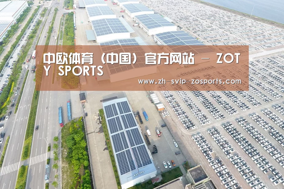 案例展示一