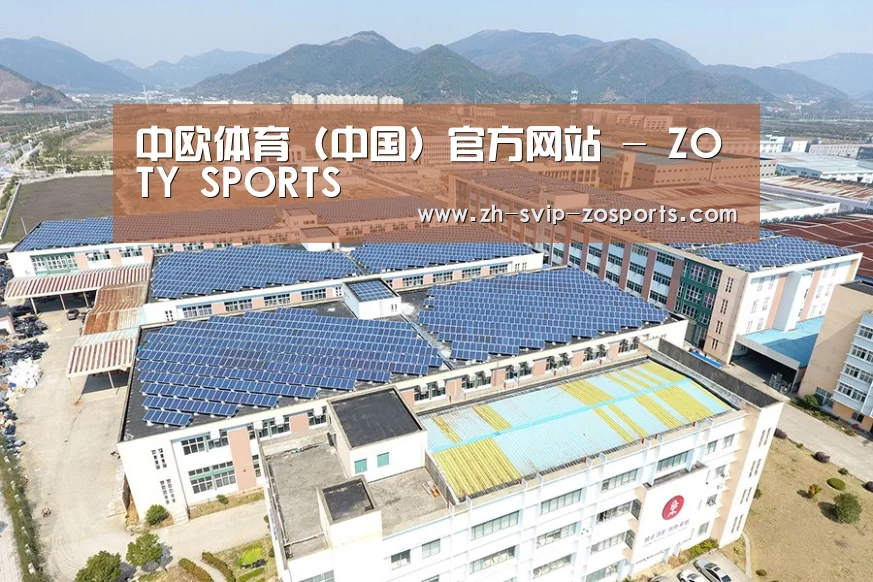 案例展示三