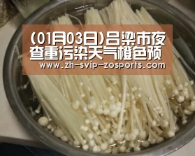 中欧体育官网入口，中欧体育官方下载，中欧体育平台